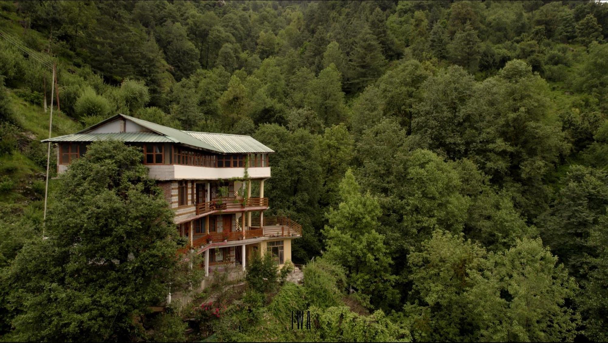 Into The Wild Adventures *
